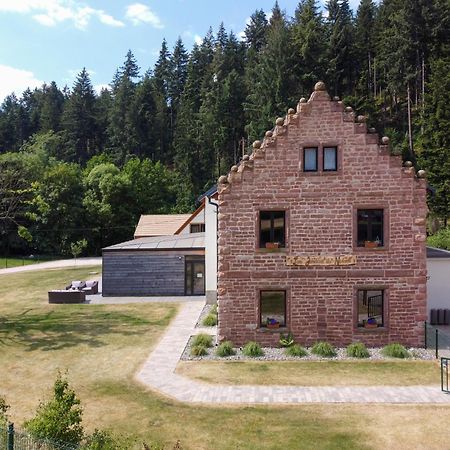 Oberhaslach Les Jardins Du Nideckヴィラ エクステリア 写真